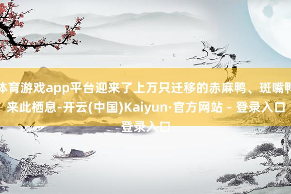 体育游戏app平台迎来了上万只迁移的赤麻鸭、斑嘴鸭来此栖息-开云(中国)Kaiyun·官方网站 - 登录入口