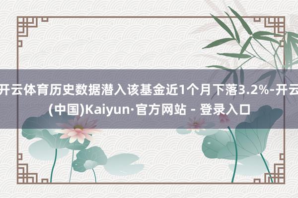 开云体育历史数据潜入该基金近1个月下落3.2%-开云(中国)Kaiyun·官方网站 - 登录入口