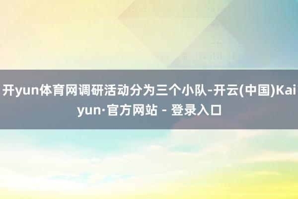 开yun体育网调研活动分为三个小队-开云(中国)Kaiyun·官方网站 - 登录入口