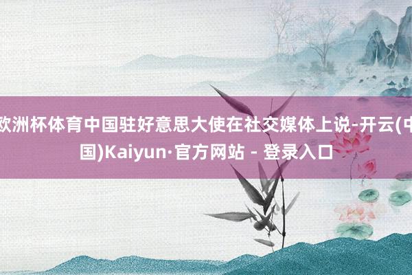 欧洲杯体育中国驻好意思大使在社交媒体上说-开云(中国)Kaiyun·官方网站 - 登录入口